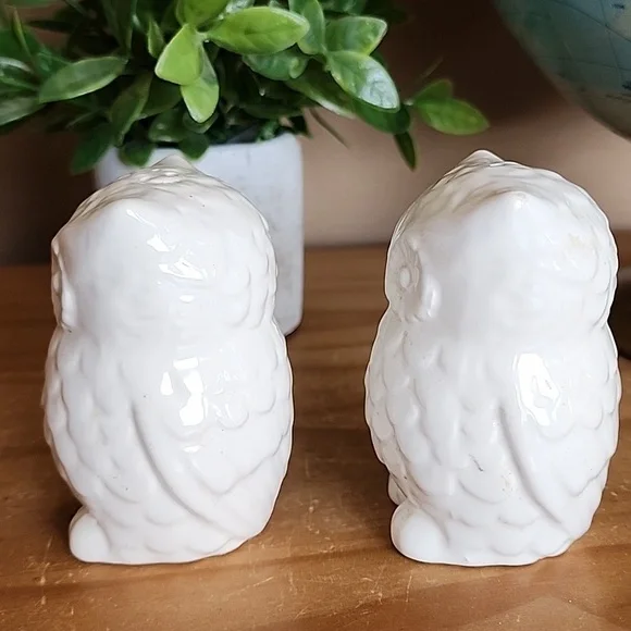 Owl Salt And Pepper Shaker Set - Picture 2 of 5